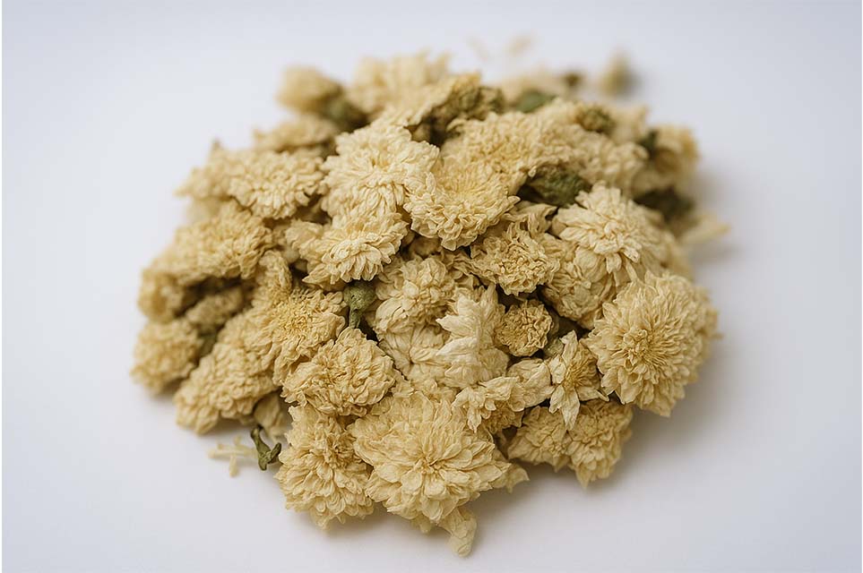 黃金菊